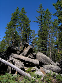 Big Horn Mtns rock garden